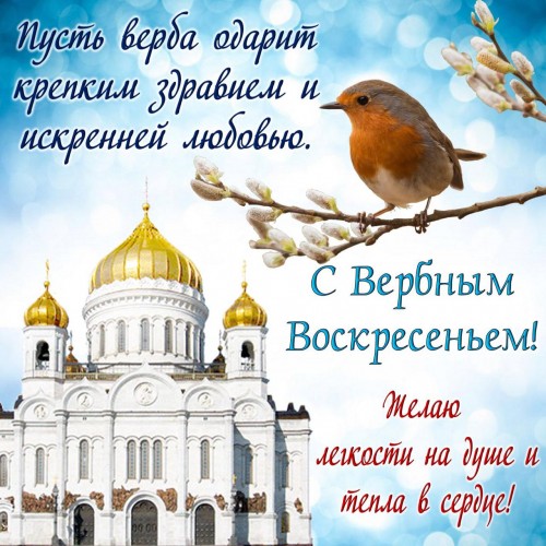 IMG-20190421-WA0001.jpg