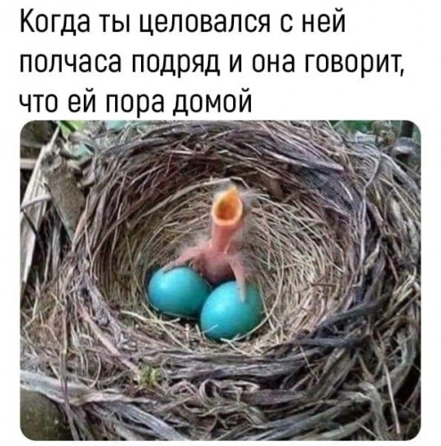 98E7E5C4-B6FA-4592-8A5C-CC293EAD0E7A.jpeg