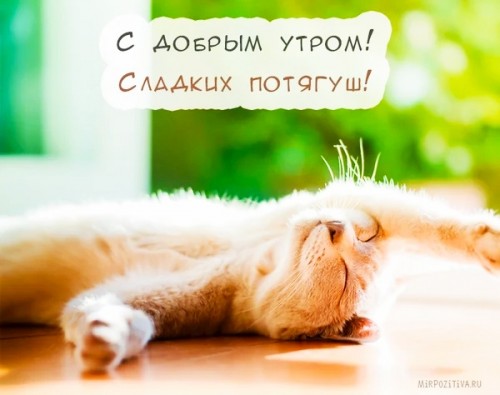 IMG_20190427_063951.jpg