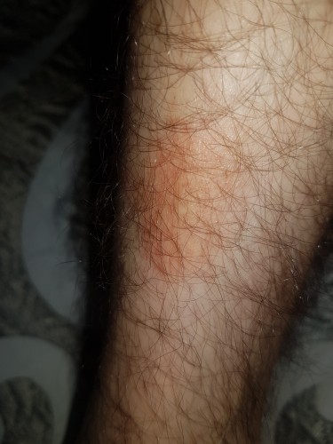 20190314_100217.jpg