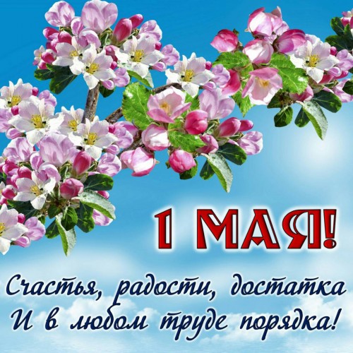 IMG-1f11fcee4d8f148b197f674aa2d98d0e-V.jpg