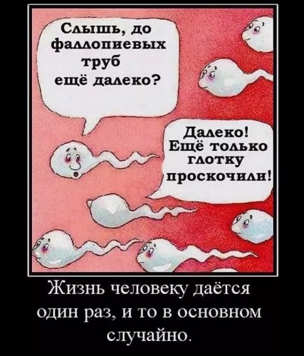2BF44B99-121E-4822-8AD5-7C9E19C5570F.jpeg