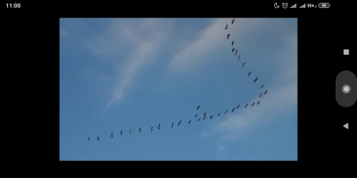 Screenshot_2019-05-09-11-00-11-197_com.google.android.youtube.png