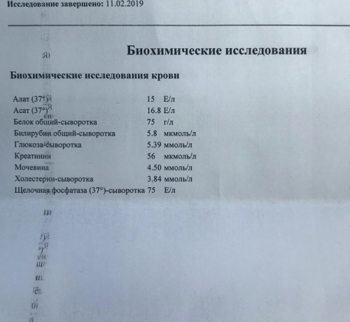 5C955F84-F376-4F18-A866-FF739F957CB5.jpeg
