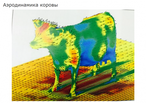 9D2E0572-5C55-4CBD-9BFA-0454C5E0FE83.png