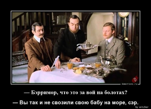 1530116874_-Berrimor-chto-eto-z_demotions.ru.jpg