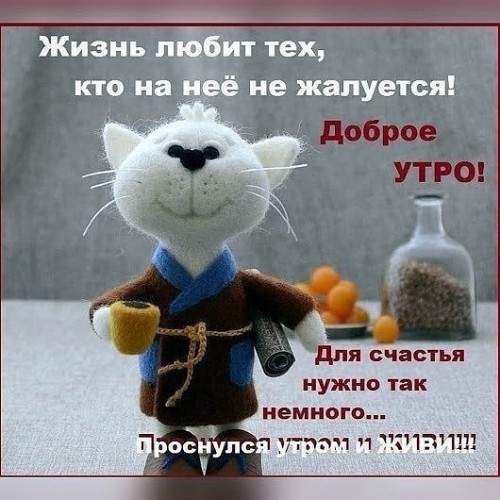 IMG_20190526_091527.jpg