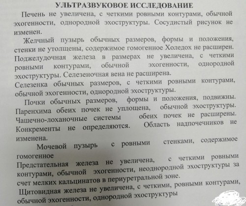 IMG_20190222_130545.jpg