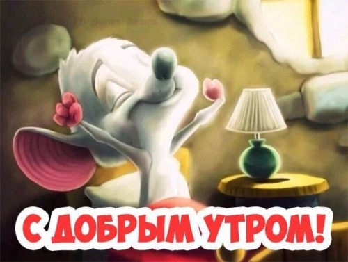 BD48B0ED-D71B-45AD-A6C5-DAC43E7111DE.jpeg
