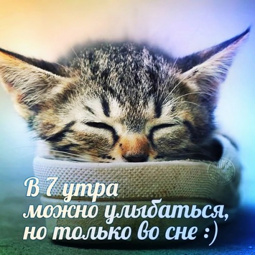 IMG_20190427_065004(1).jpg