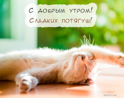 dobroe_utro_01.jpg