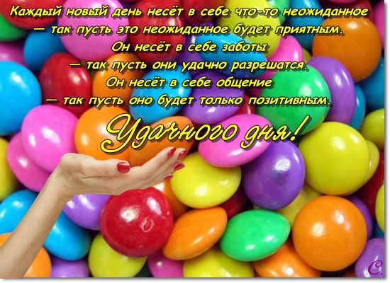 847a58a341592590b9d2be988264122.jpg