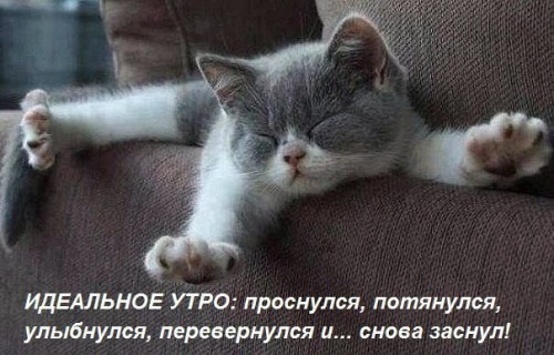 0B9464BA-A79C-41C0-90F6-F42AED581F3F.jpeg