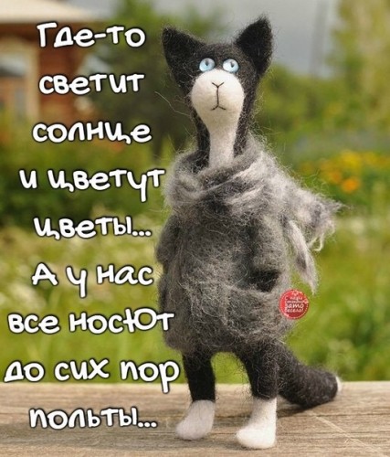 D4F78C01-2F02-4185-96CE-CBECE89C9F84.jpeg