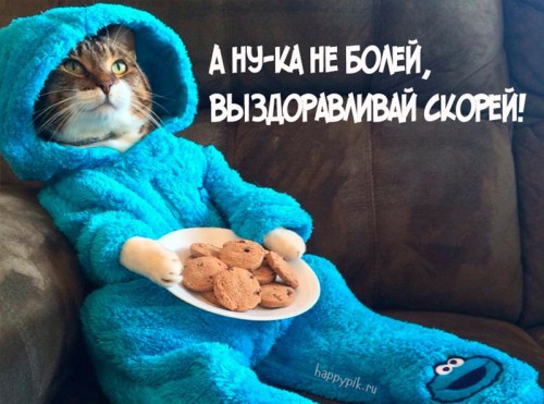 vyzdoravlivay4_happypik.ru_.jpg