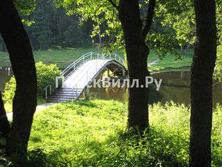 dop_3442_2988.jpg