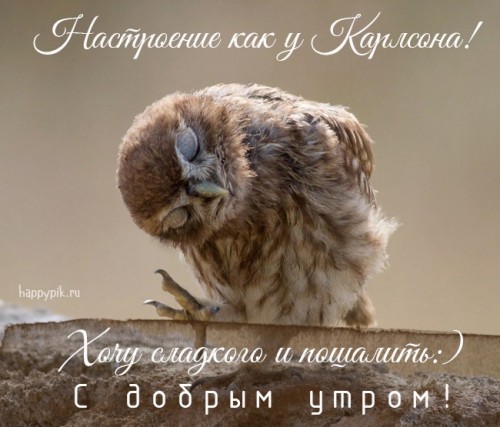 7A591940-3552-42DF-A065-08740521A33D.jpeg