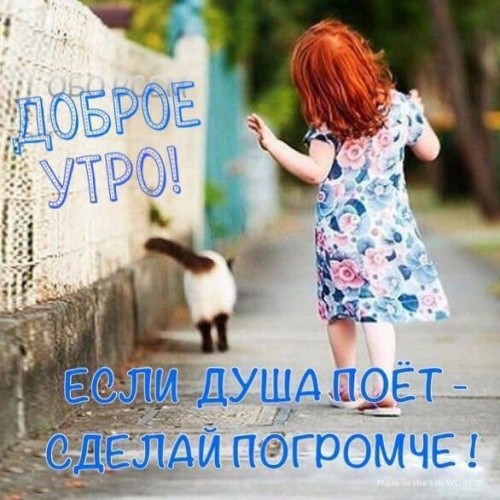 IMG_20190612_110638.jpg