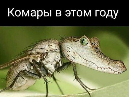 IMG_20190613_180417.jpg