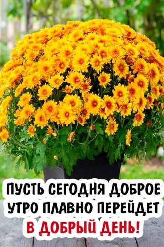 62650388_2329627883797401_5963476667891449856_n.jpg