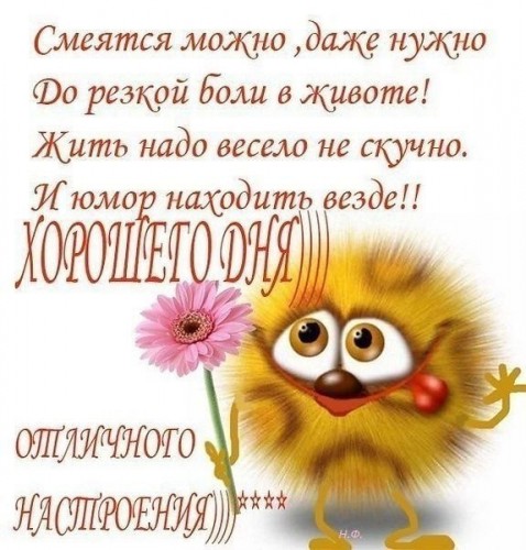 IMG_20190613_122620.jpg