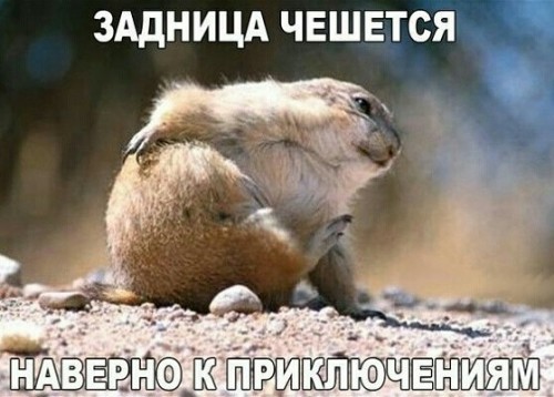 IMG_20190615_225642.jpg