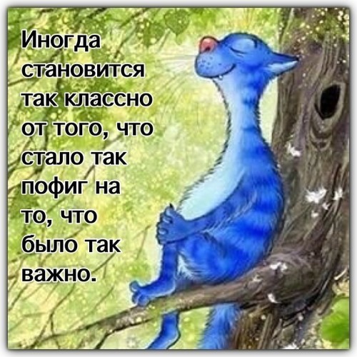 IMG_20190619_102600.jpg