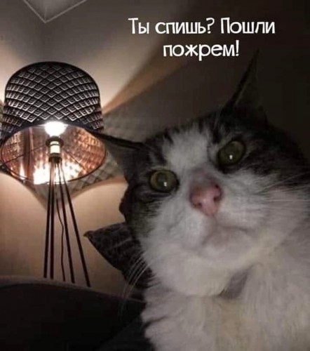 37419426-22A4-45F0-8891-0BEFFEDE4DDB.jpeg