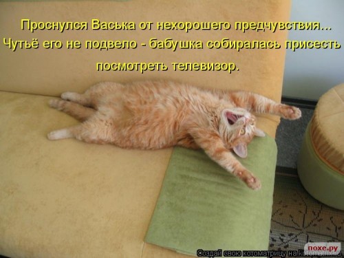 image (9).JPG