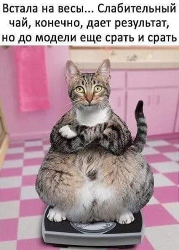 IMG_20190623_103036.jpg
