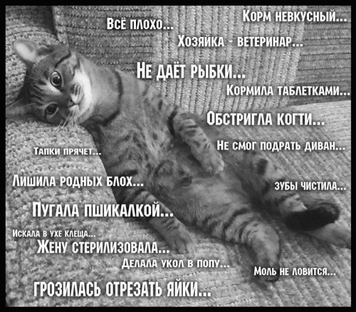 8A7ABD85-C560-4B93-91B8-210086CAFF68.jpeg