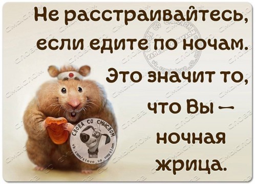 2772018864.jpg