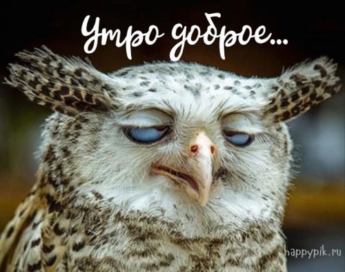 0A36F0CD-FEE1-493C-BF8B-C6A2F72E03CE.jpeg