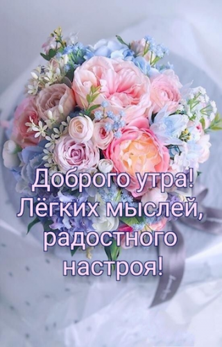 64950496_1554890371309241_1040159380223295488_n.png