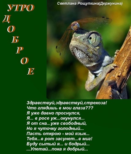 IMG_20190630_152536.jpg