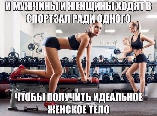 rw3bj2Qu6K0.jpg