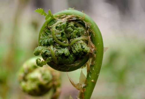 _QRXgPtqulE.jpg (161.19 КБ) 177 просмотров _QRXgPtqulE.jpg