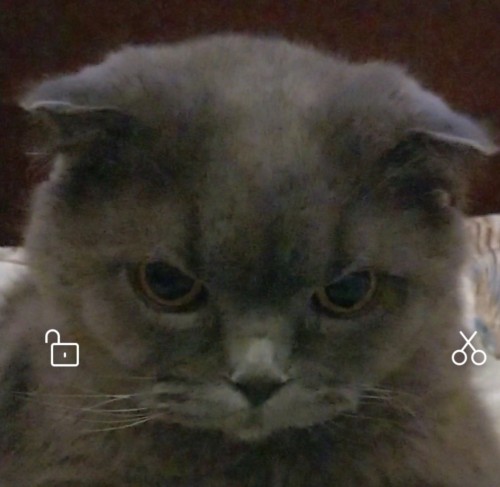 Screenshot_20190706-215850157_1.jpg