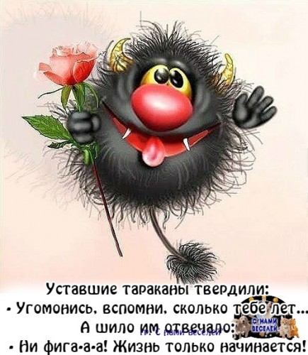 IMG_20190706_110012.jpg