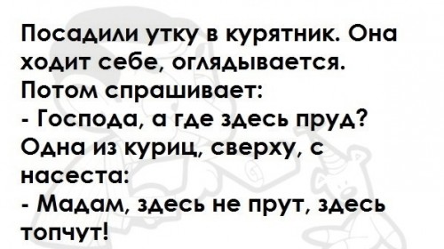 QIP Shot - Screen 506.jpg