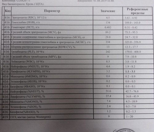 20190802_183814.jpg