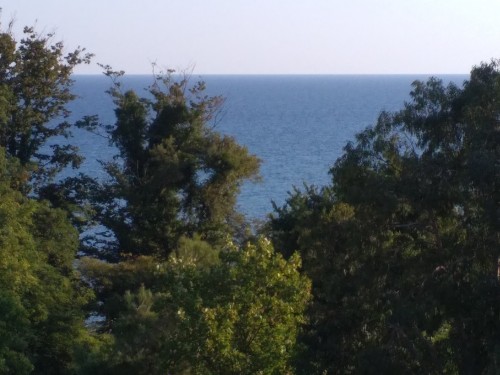 IMG_20190808_181348.jpg