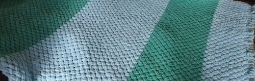 20190811_121135.jpg