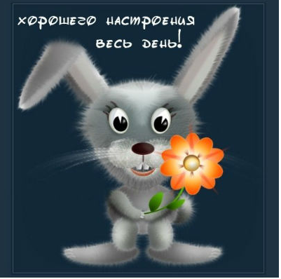 gSkO1nr0.png