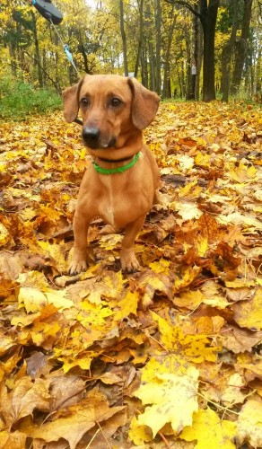 0kujZTRlWcw.jpg (159.55 КБ) 539 просмотров 0kujZTRlWcw.jpg