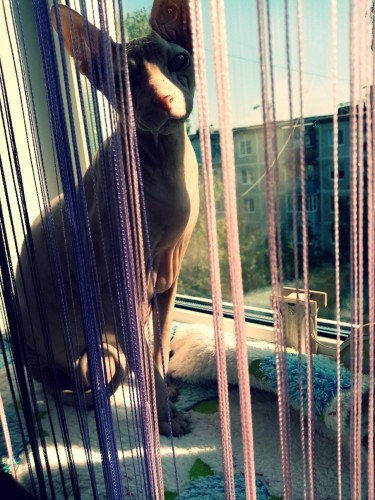 ui_C3RKgG94.jpg (346.39 КБ) 539 просмотров ui_C3RKgG94.jpg