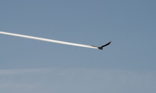 image700597_fe2c40523af56b997b067ca98b56151e.jpg (461.44 КБ) 129 просмотров image700597_fe2c40523af56b997b067ca98b56151e.jpg