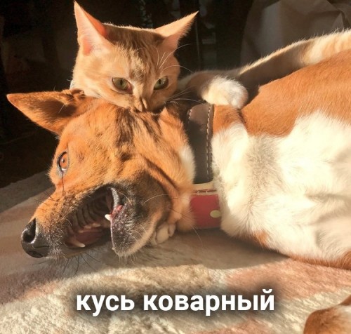 _Kbbhr9AcOs.jpg