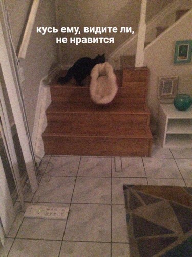 1iNEh9J7SOg.jpg
