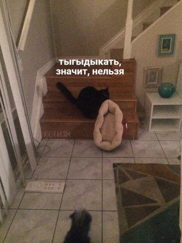 mc8DenXQlYQ.jpg